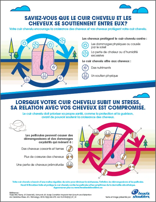 Les effets des Image