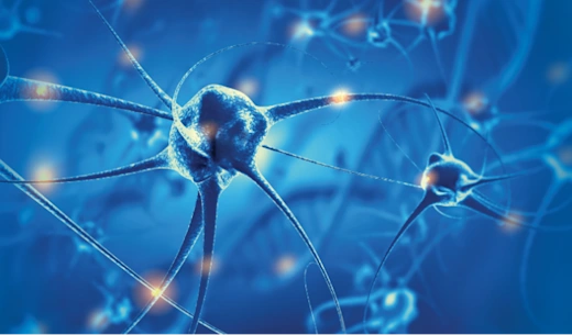 Neurons in blue colour and background.