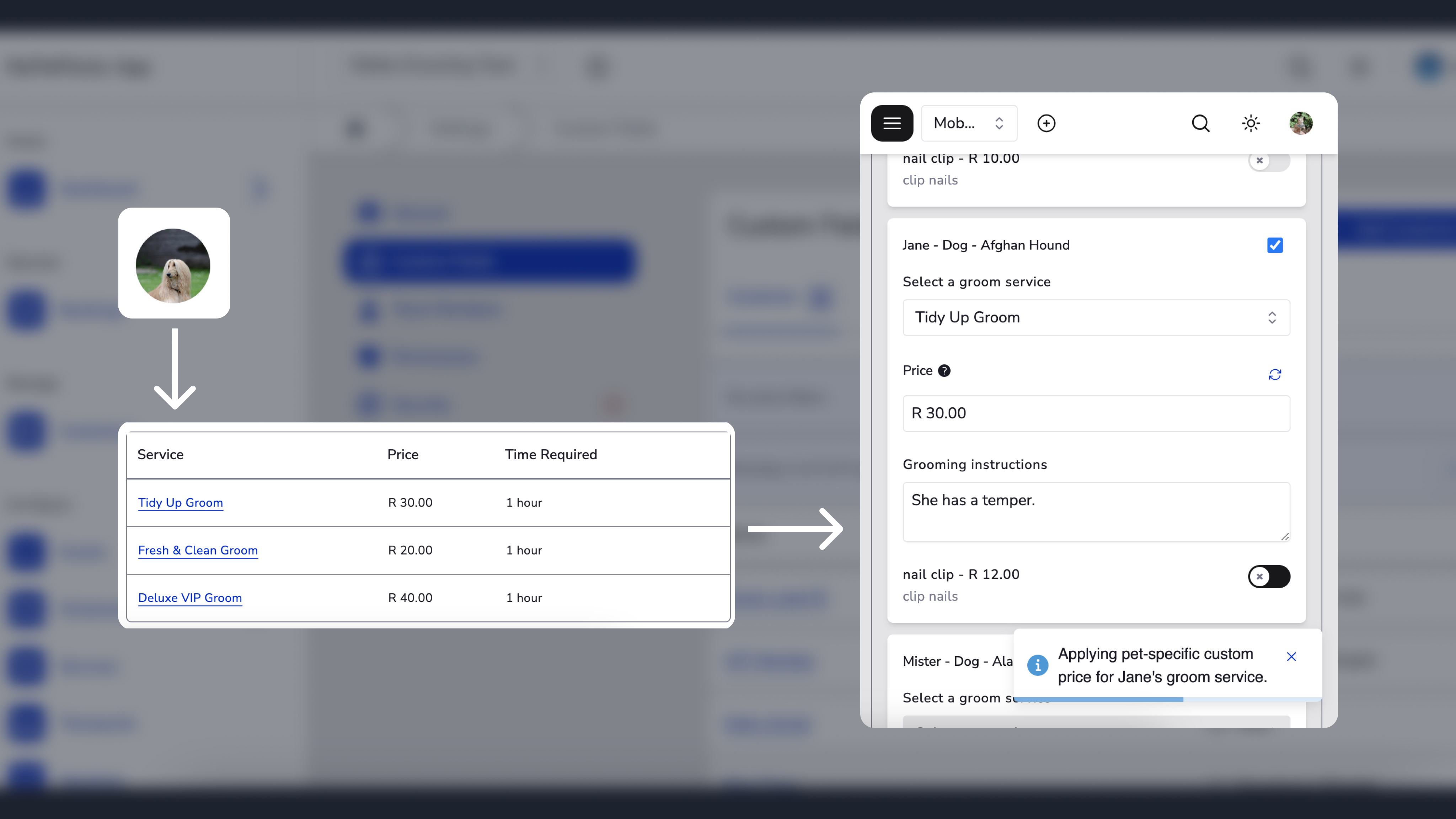 Hero image for article with title: The Strategic Advantage of MyPetParlor App's Custom Pricing Empowering Pet Grooming Businesses