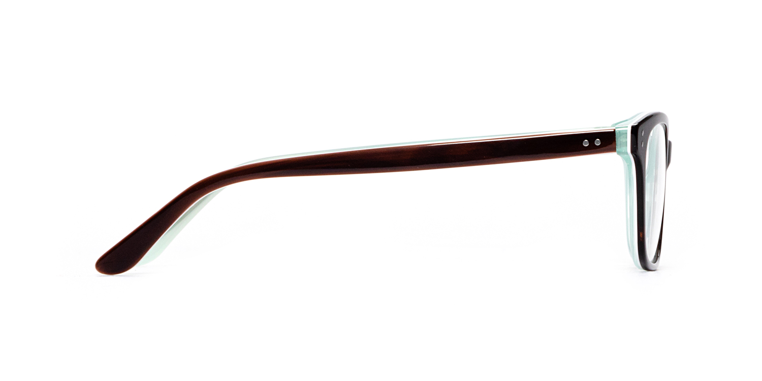 yassページ Tortoise 289 Eyeglasses | Clarkson Eyecare