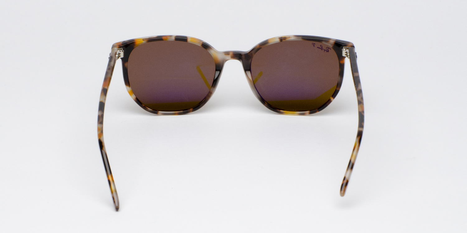 Tortoise Elliot Sunglasses | Nationwide Vision