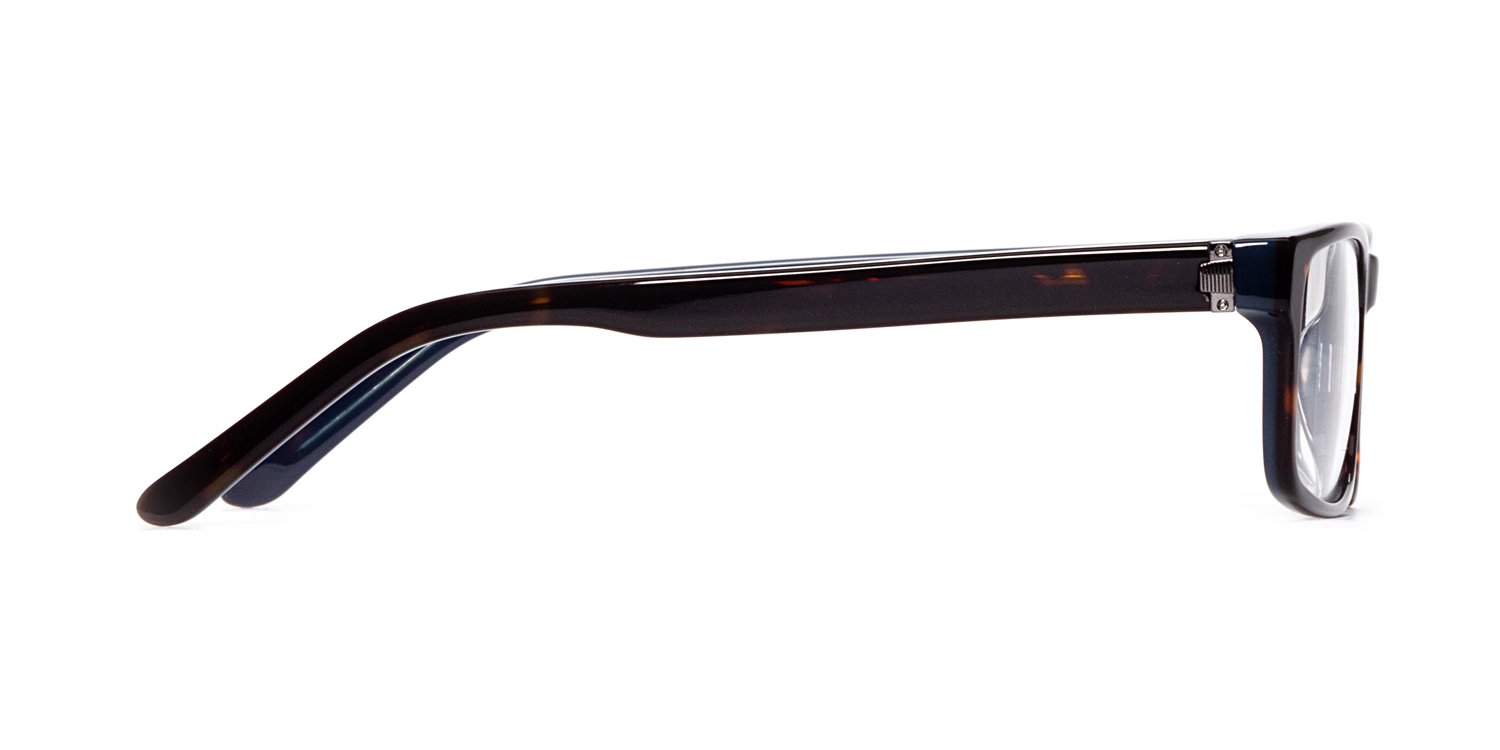 Tortoise Rivera Eyeglasses | Clarkson Eyecare