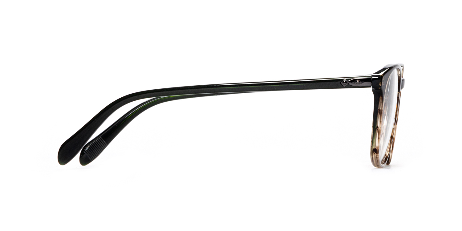 【Mass】Cruising Tortoise Pace Costa 6S9049 Paunch XL (57 - 16) with Grey lenses and