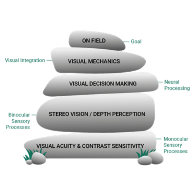 sports vision training rock model