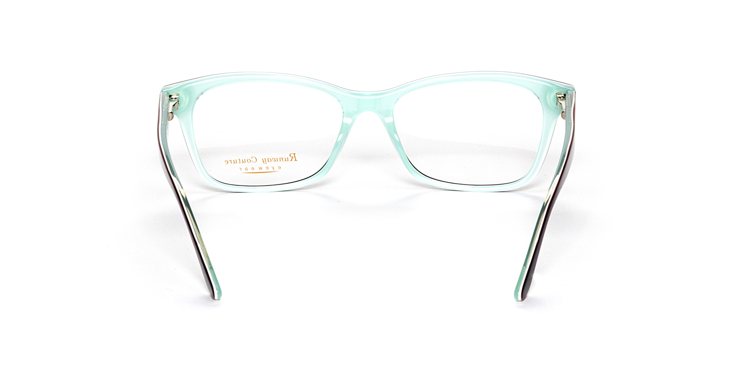 Tortoise 289 Eyeglasses | Clarkson Eyecare
