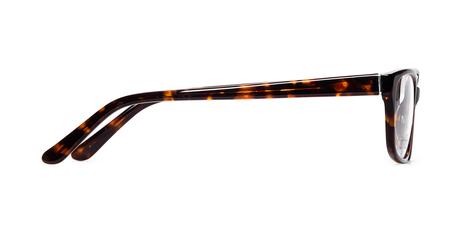 アイケア Cindy Tortoise Chic-Cindy Eyeglasses | eyecarecenter