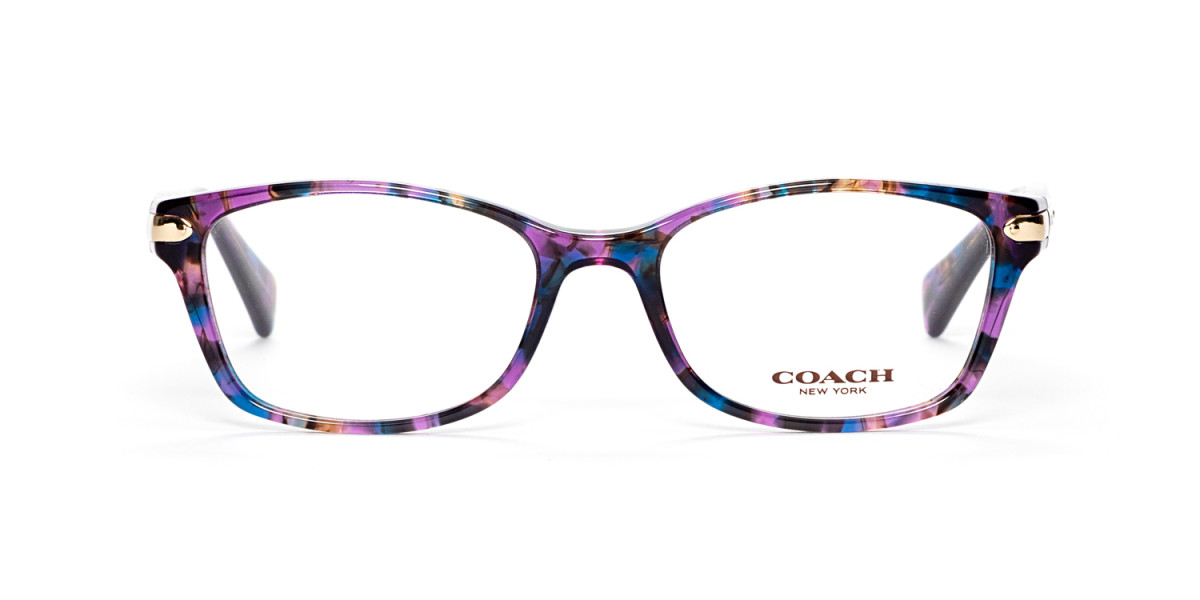 Purple HC6065 Eyeglasses
