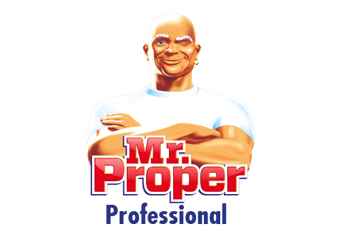 Mr Proper Professional