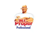 Mr Proper Professional