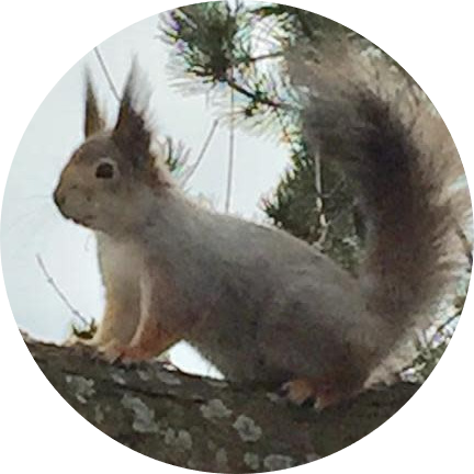 WhatsApp Image 2021-02-20 at 22.36.13