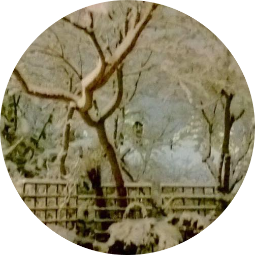 Tama satumaisema on omasta pihasta muutaman vuoden takaa