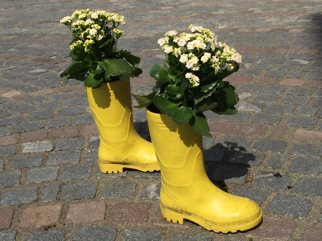 WhatsApp Image 2021-02-20 at 22.55.00