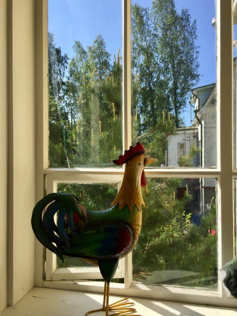 WhatsApp Image 2021-02-20 at 23.05.53