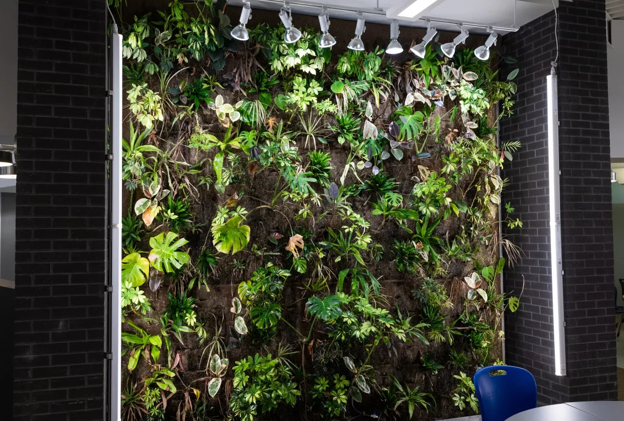 Net Zero