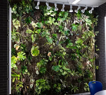 Net Zero