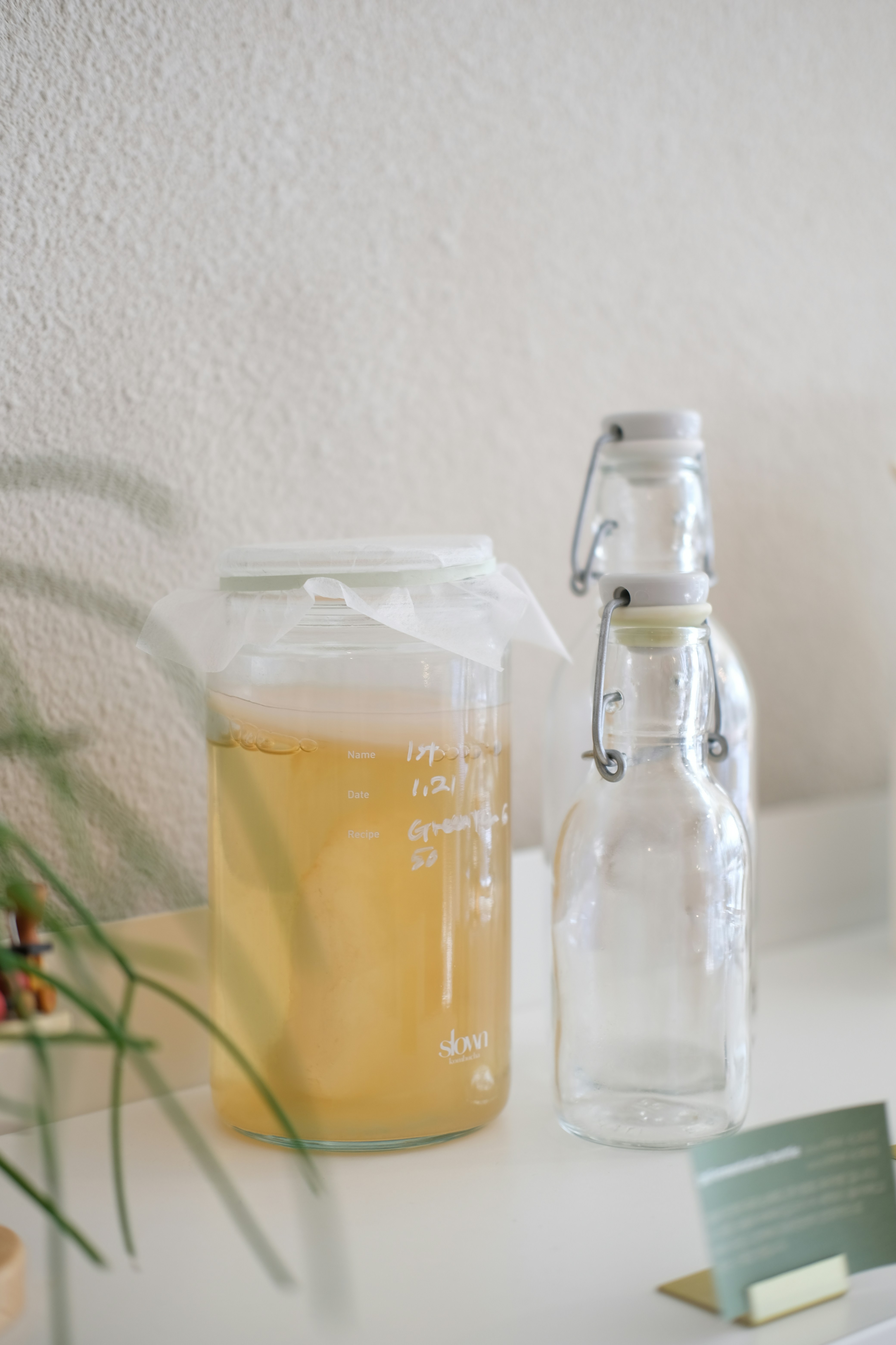 Fermenting Fundamentals