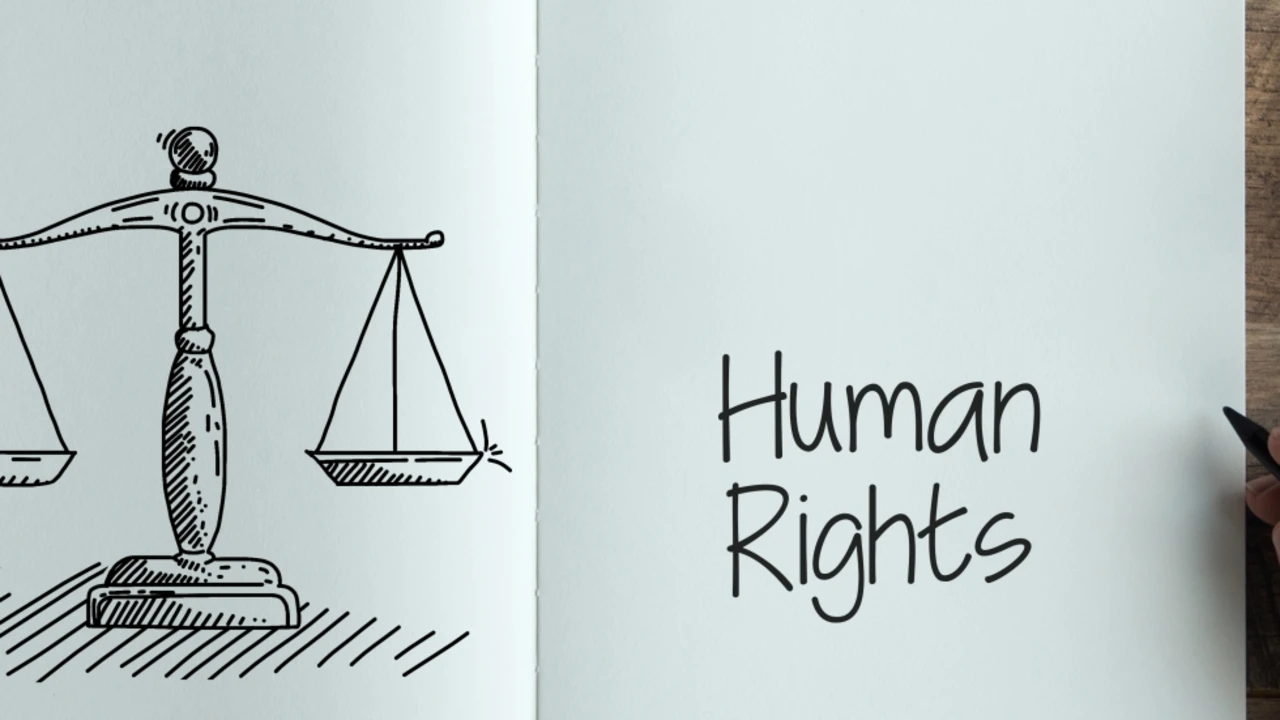 Accommodation and Human Rights Management