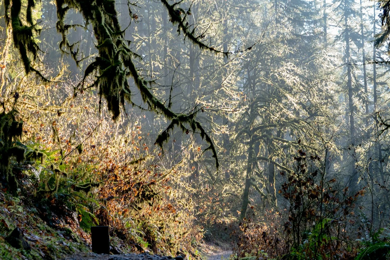 Trail Stewardship