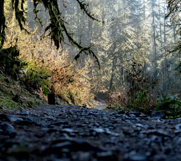 Trail Stewardship
