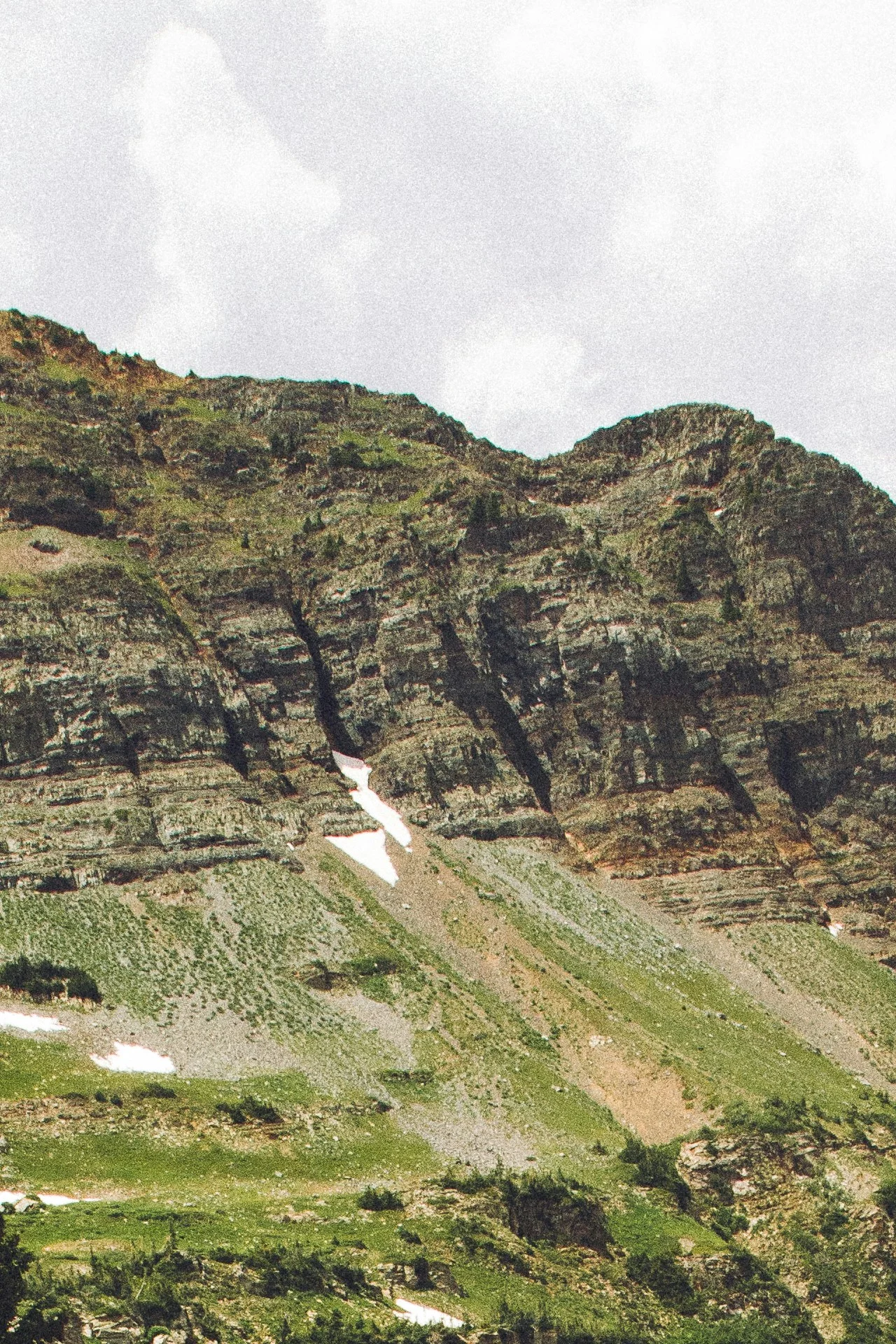 Trail Management