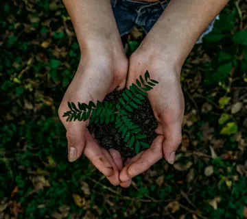 Sustainable & Renewable Energy