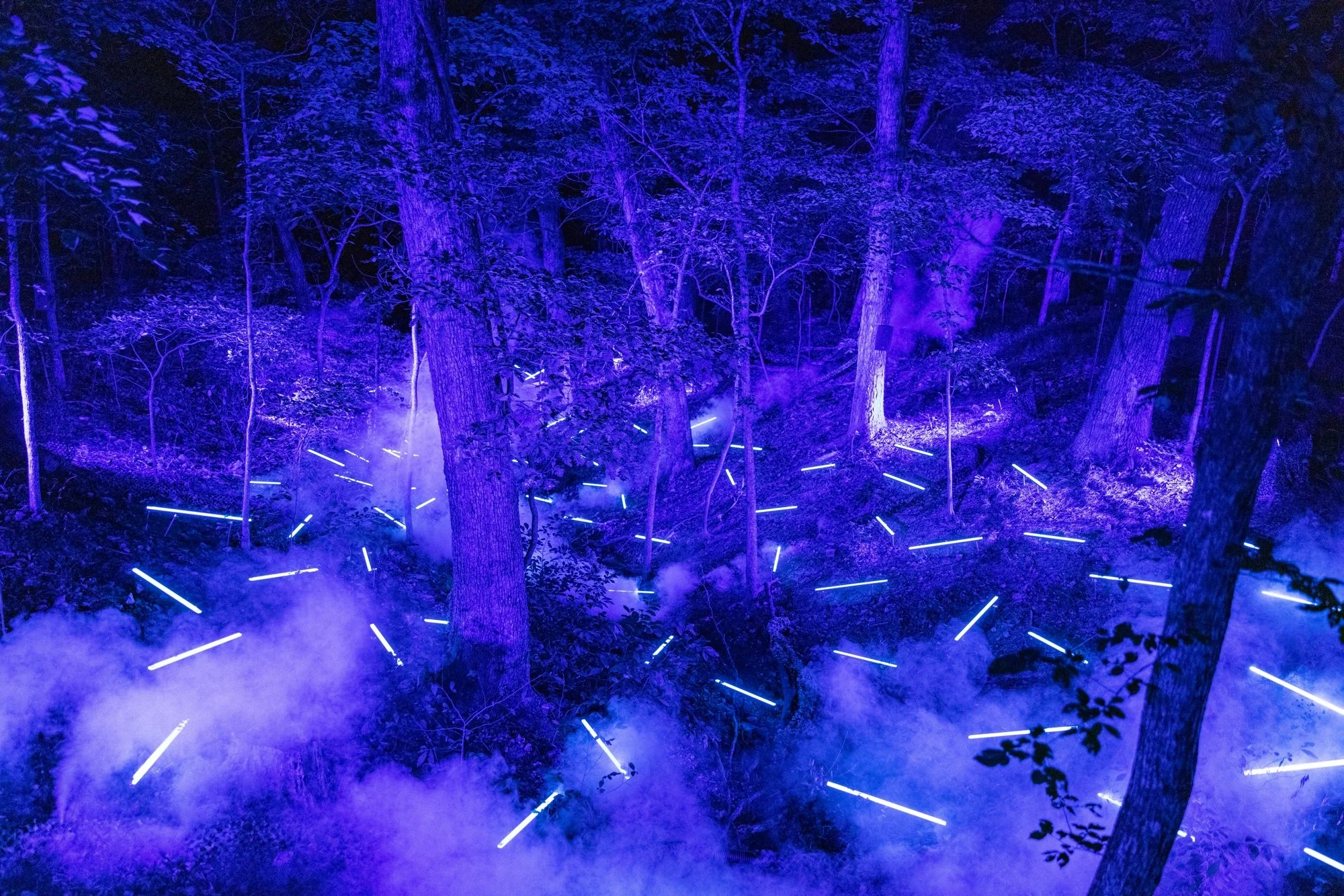 A forest ravine at night lit with bright blue and purple lights.