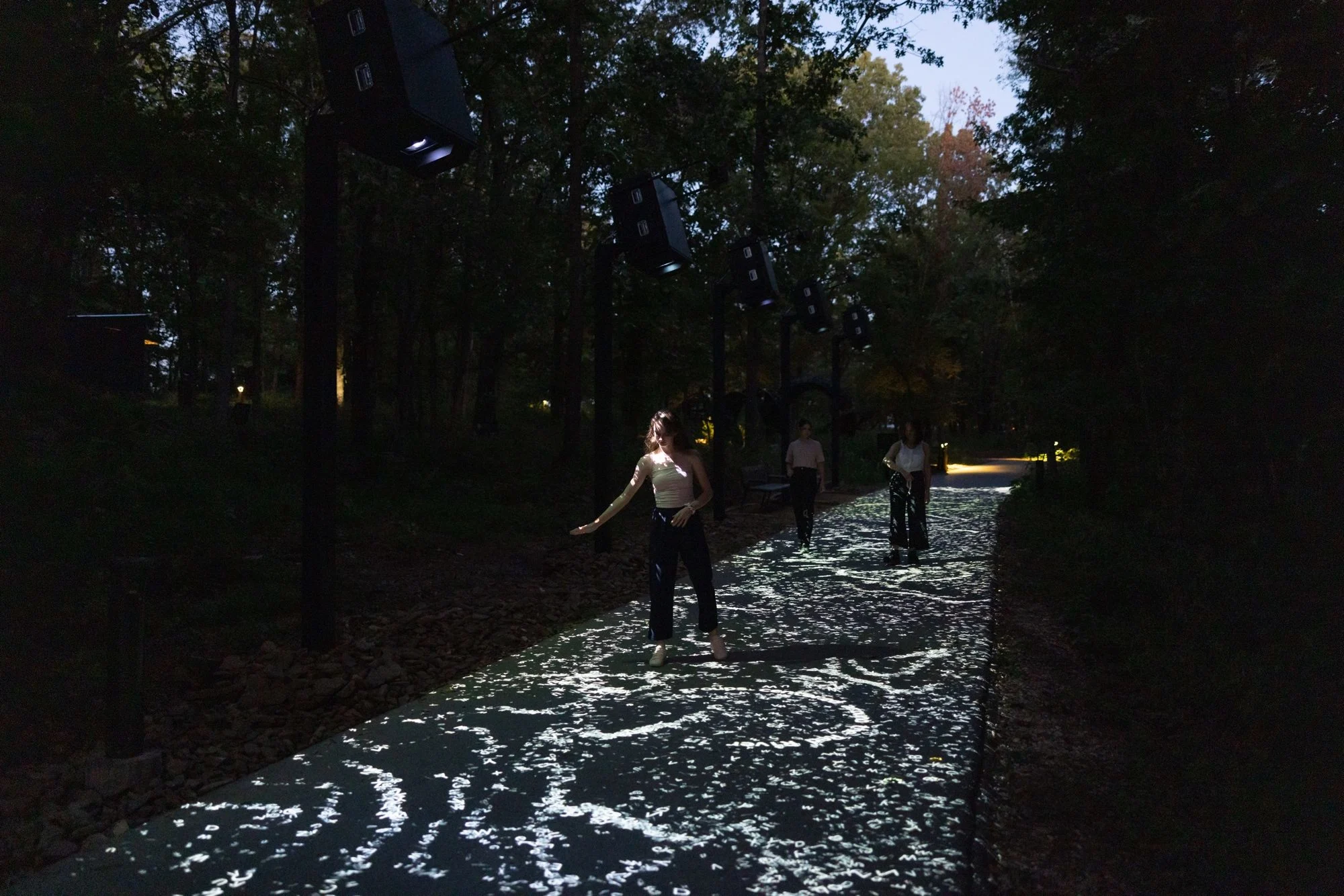 A group of people, at night in the forest, walk on a path lit by projected letters that they interact with by moving their bodies.