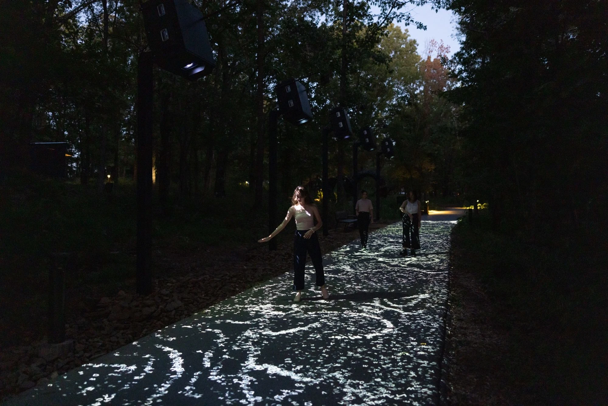 A group of people, at night in the forest, walk on a path lit by projected letters that they interact with by moving their bodies.