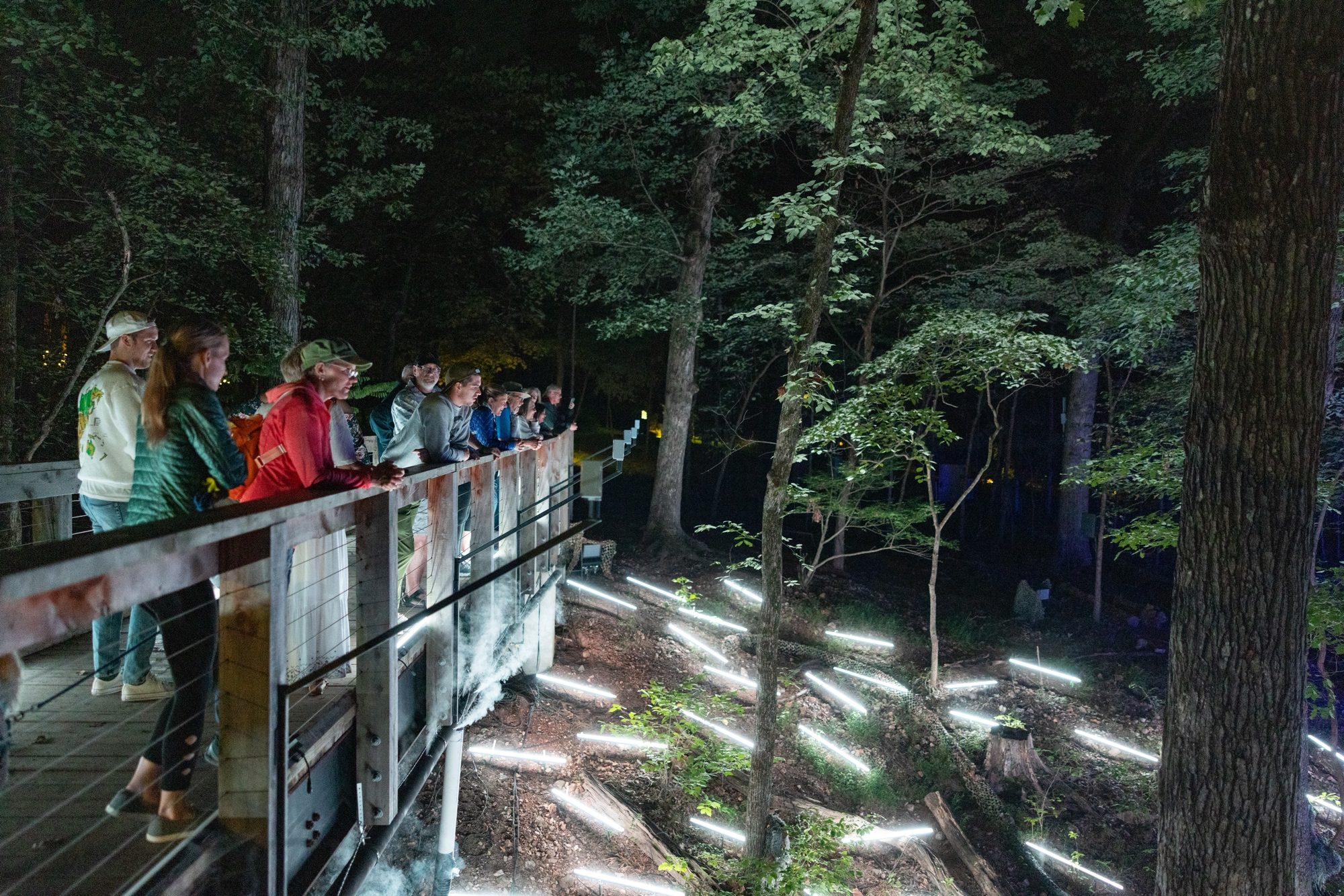 Nine Things to Do at the Museum This Memorial Day Weekend | Blog