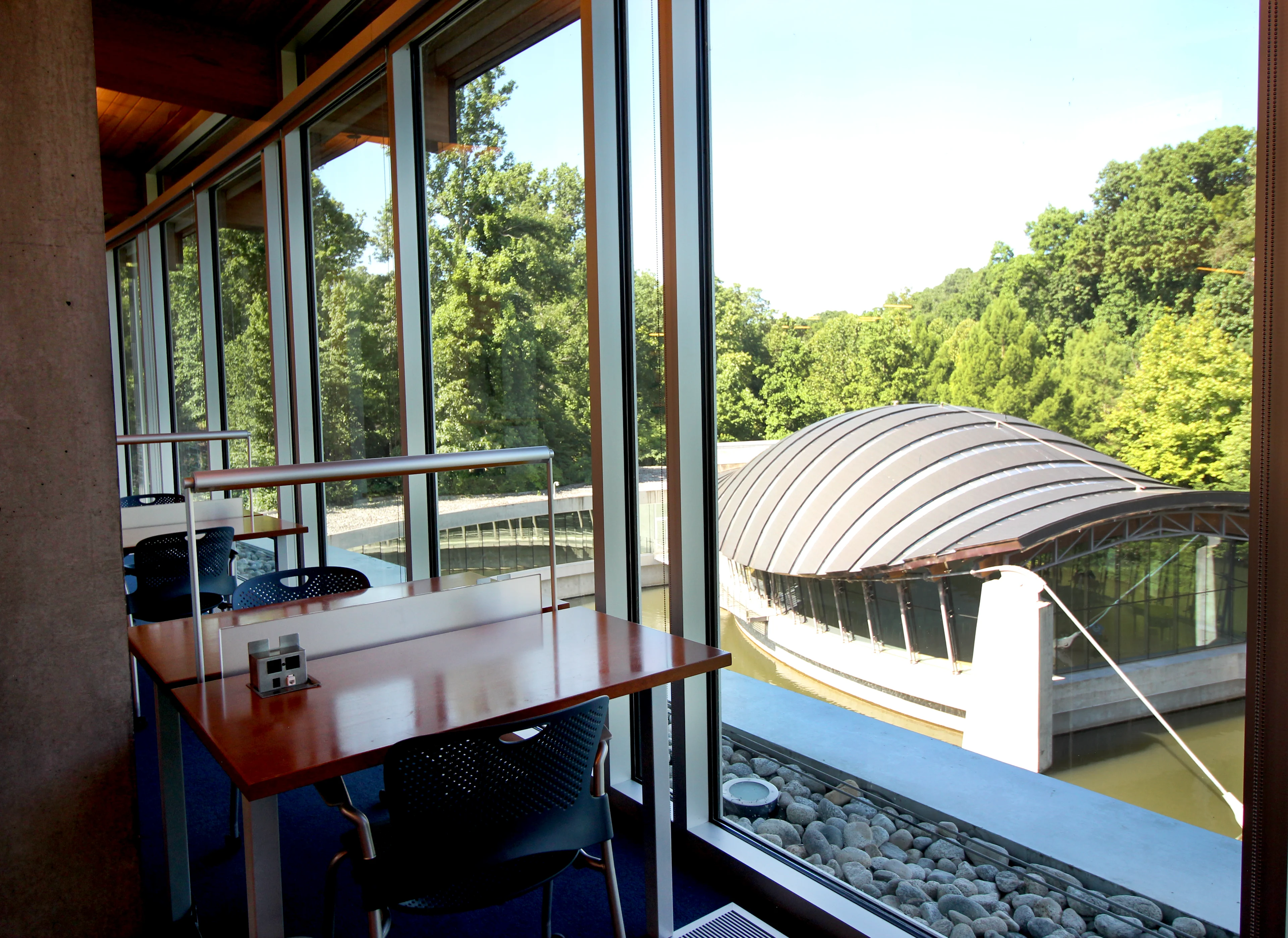 View from Libary
