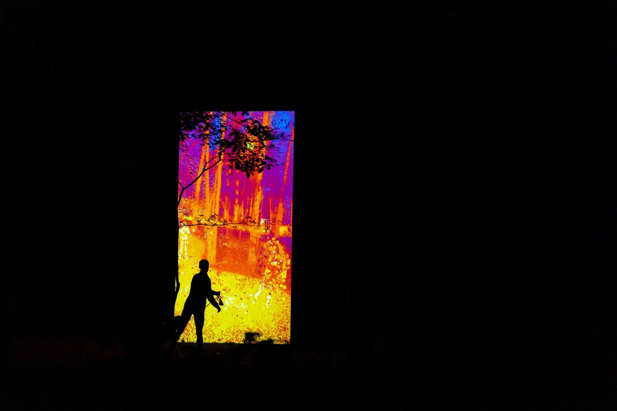 A silhouette dances in front of a brightly colored heat sensor in the forest at night.