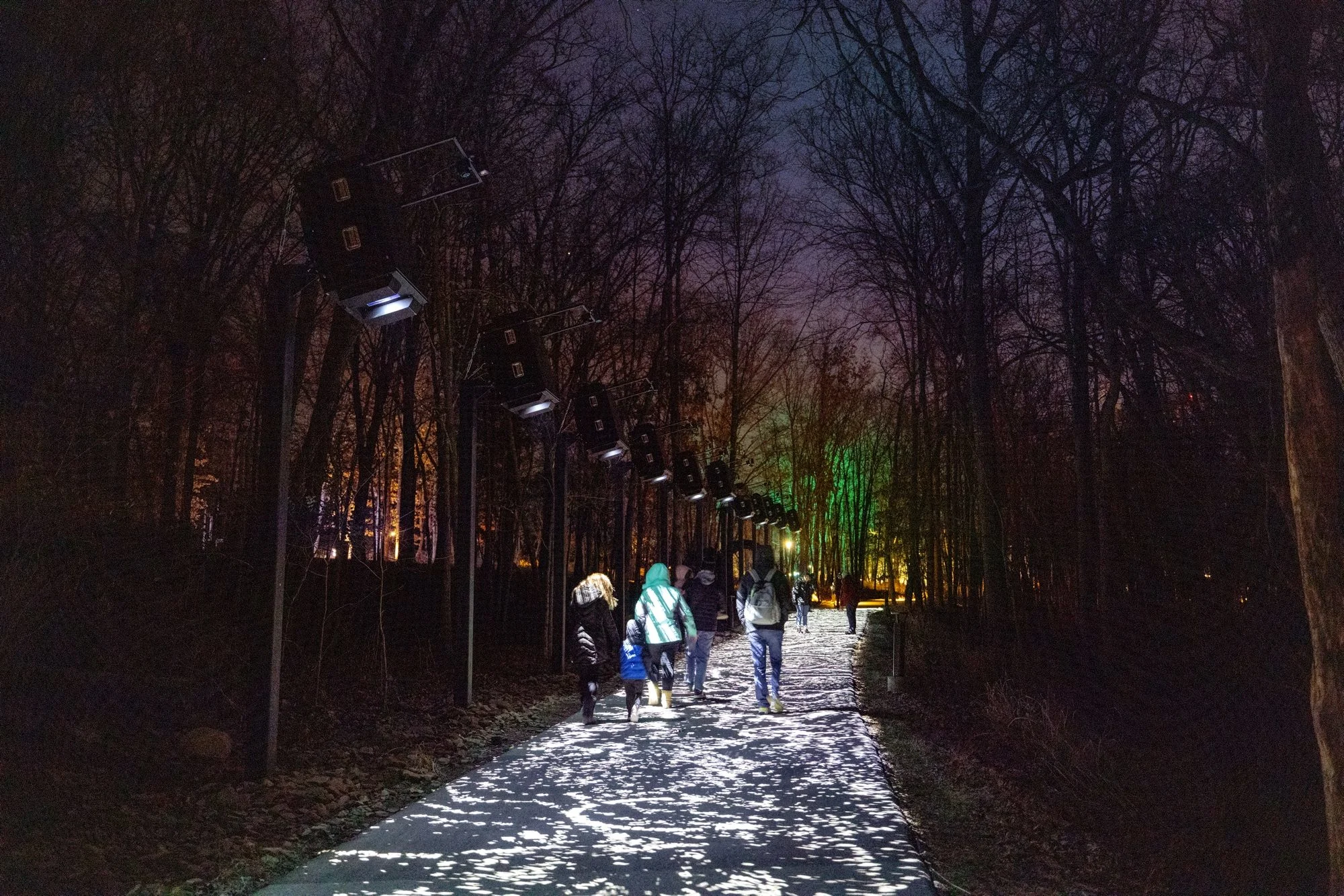 A group of people at night in the forest walk away from the camera view on a path lit by projected letters.