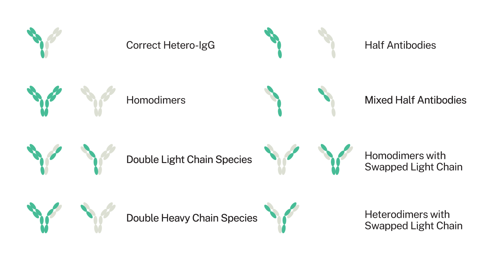 BioglyphLuma-bispecific-antibodies