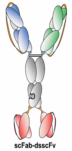 Antibody Tracking Image 1