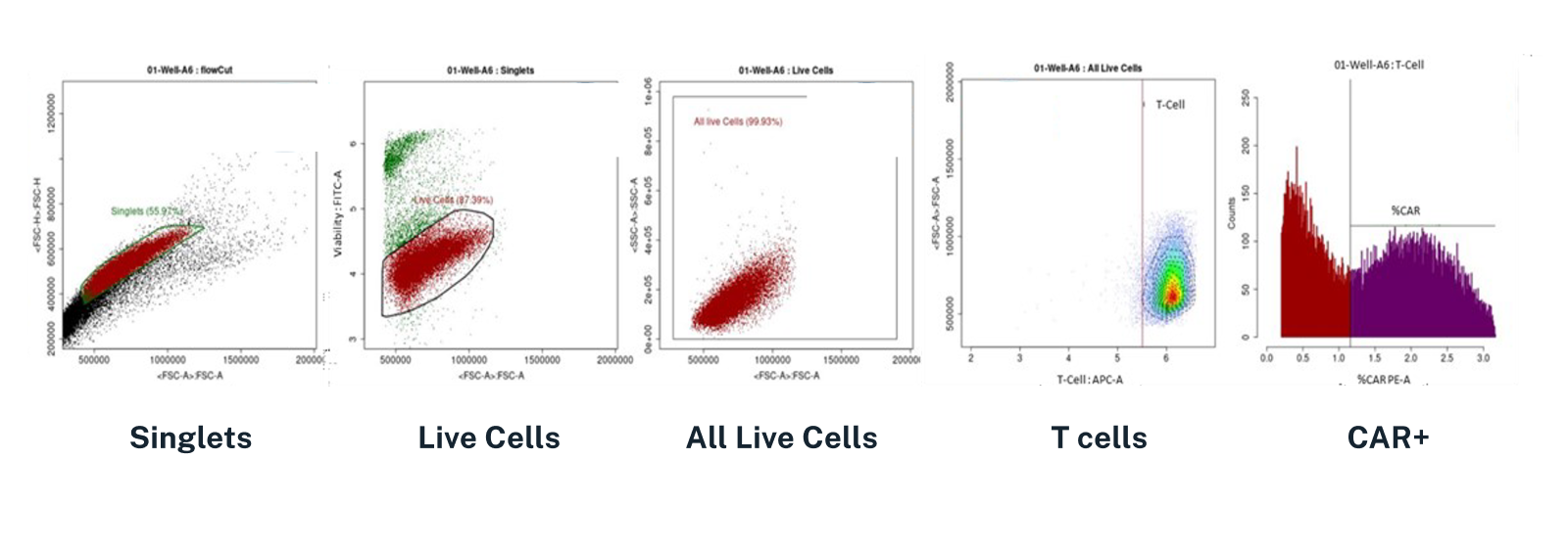 Composition of CAR-T products