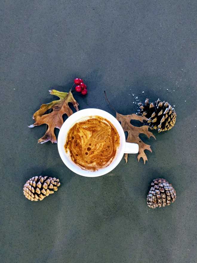 Overhead shot of chai tea latte mug surrounded by pinechones, fall leaves, and red berries