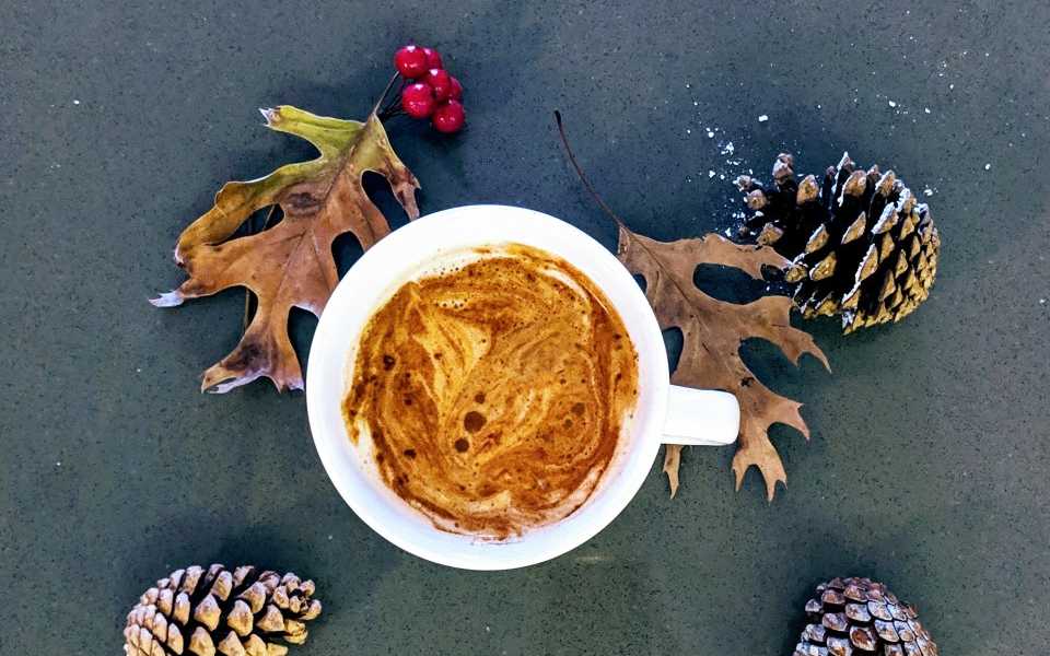 Overhead shot of chai tea latte mug surrounded by pinechones, fall leaves, and red berries