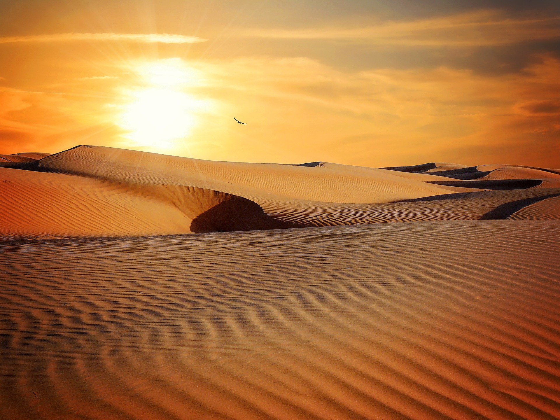 Aki eladja a homokot a sivatagban
