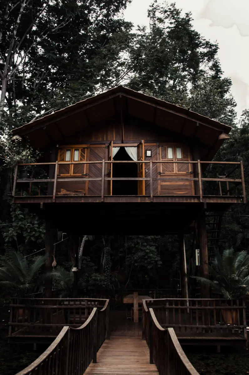 Unique Tree House