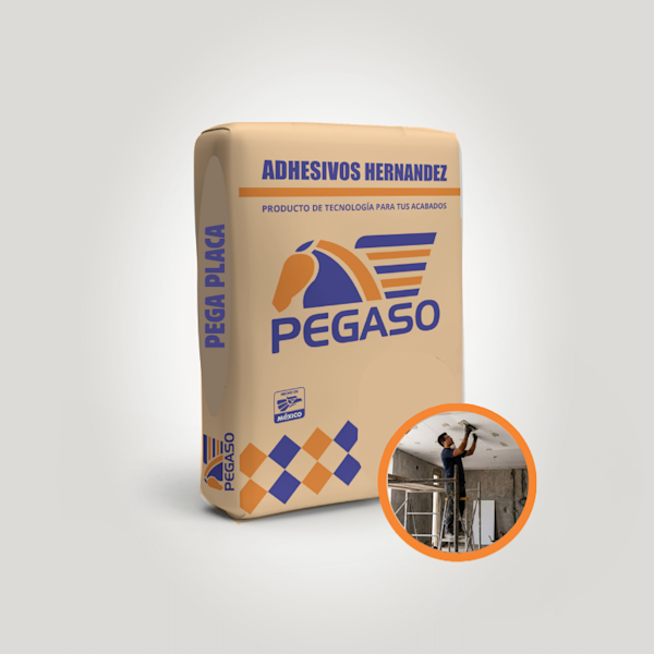 PEGA PLACA SACO