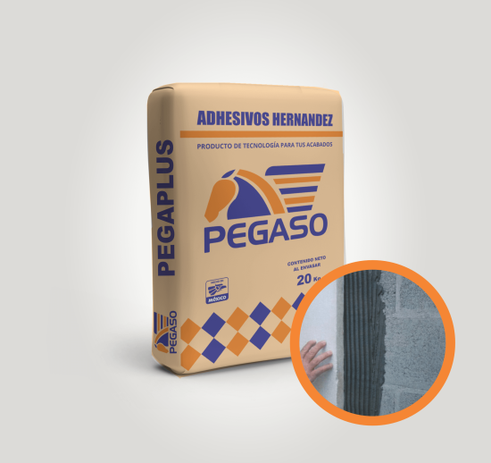 pegaplus-550x518