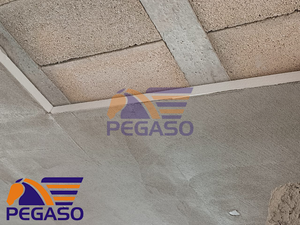 PEGAPLUS 1 MA