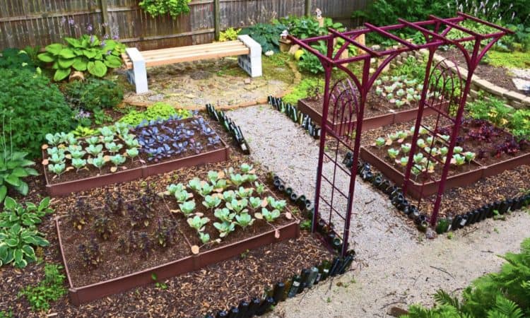 modern-vegetable-garden-14.20.41