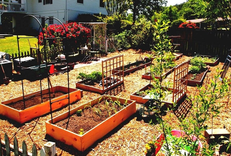 Best-Vegetable-Garden-Layout-Ideas-and-Designs-min