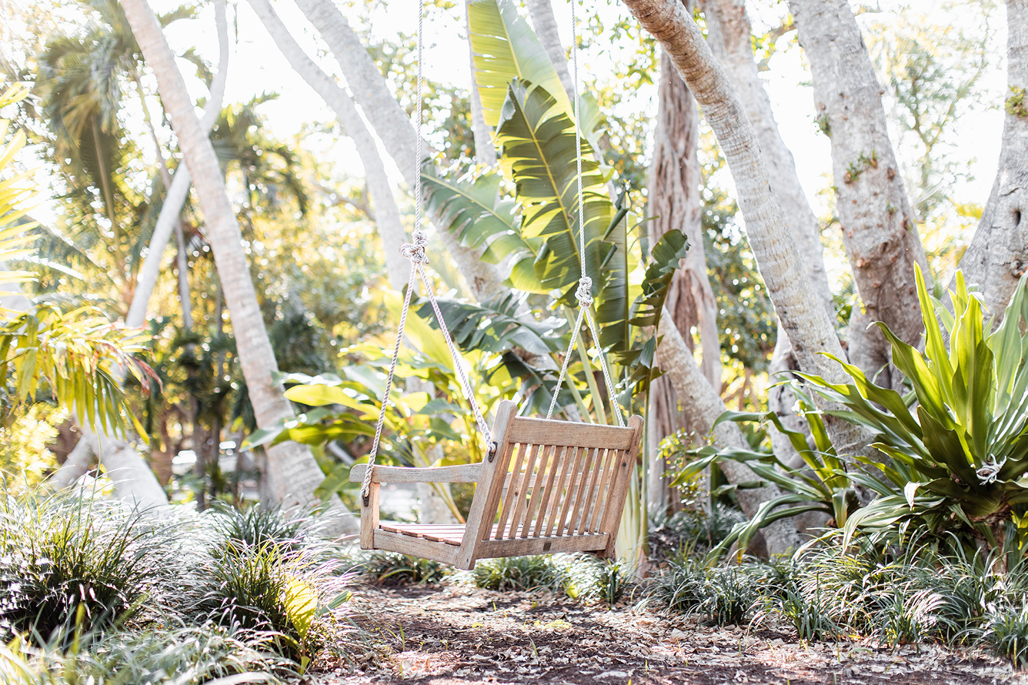5-tips-for-creating-a-beautiful-garden-2
