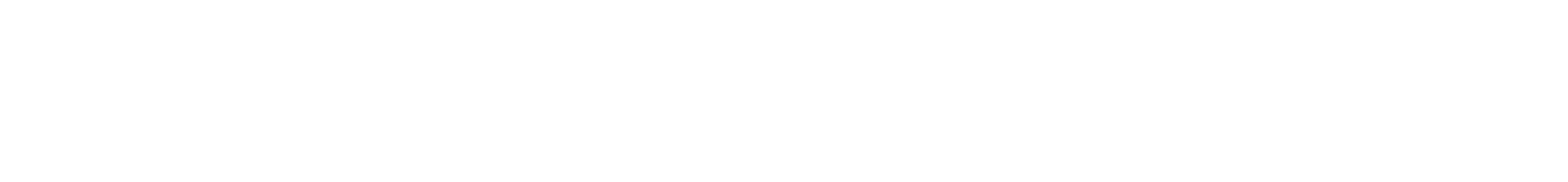 Blindster logo white