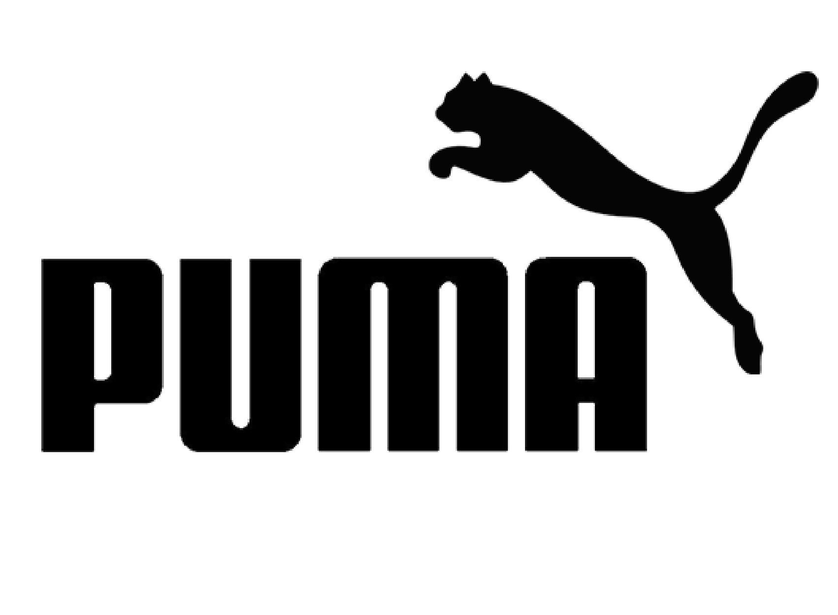 Logo 13