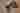 Prop, 2025 (picture)