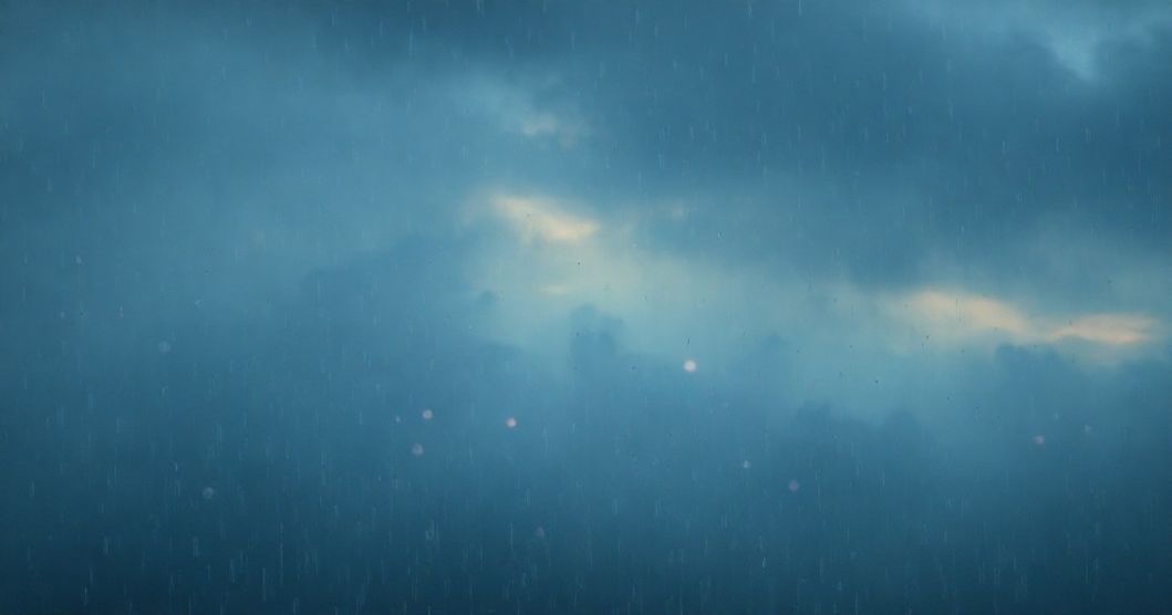 Featured image for Whispers on Rain: The Hidden Meaning of Sharing Dreams Beneath Rain Skies