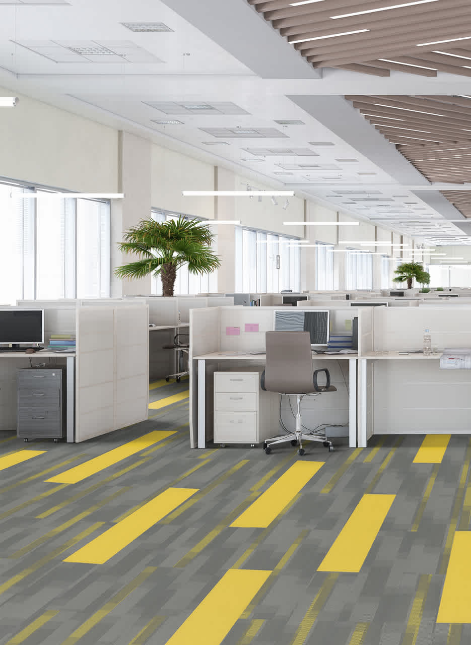 Colorburst Plank